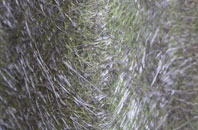 Blythe fibreglass roof work